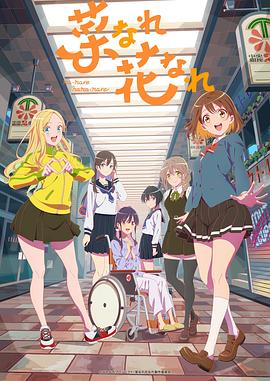 教育类如何优化网站建设